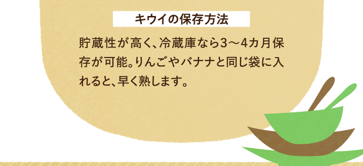 キウイの保存方法について 貯蔵性が高く、冷蔵庫なら3～4カ月保存が可能。りんごやバナナと同じ袋に入れると、早く熟します。