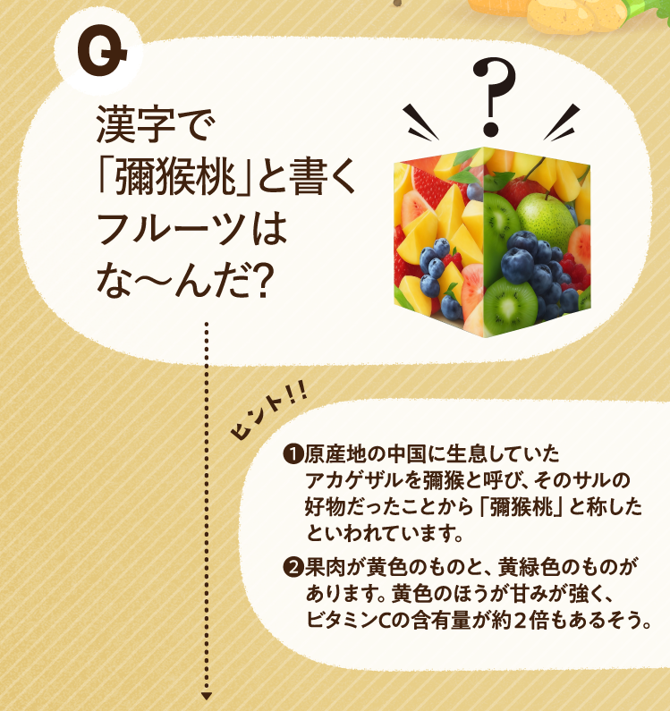 漢字で「彌猴桃」と書くフルーツはな～んだ？ ヒントその1 原産地の中国に生息していたアカゲザルを彌猴と呼び、そのサルの好物だったことから「彌猴桃」と称したといわれています。 ヒントその2 果肉が黄色のものと、黄緑色のものがあります。黄色のほうが甘みが強く、ビタミンCの含有量が約２倍もあるそう。