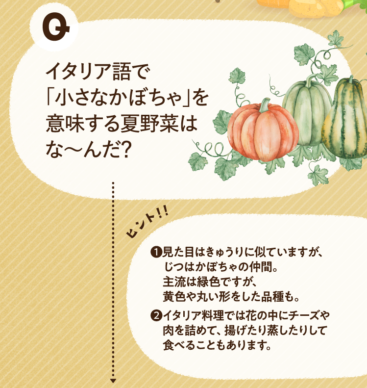 イタリア語で「小さなかぼちゃ」を意味する夏野菜はな～んだ？ ヒントその1 見た目はきゅうりに似ていますが、じつはかぼちゃの仲間。主流は緑色ですが、黄色や丸い形をした品種も。 ヒントその2 イタリア料理では花の中にチーズや肉を詰めて、揚げたり蒸したりして食べることもあります。