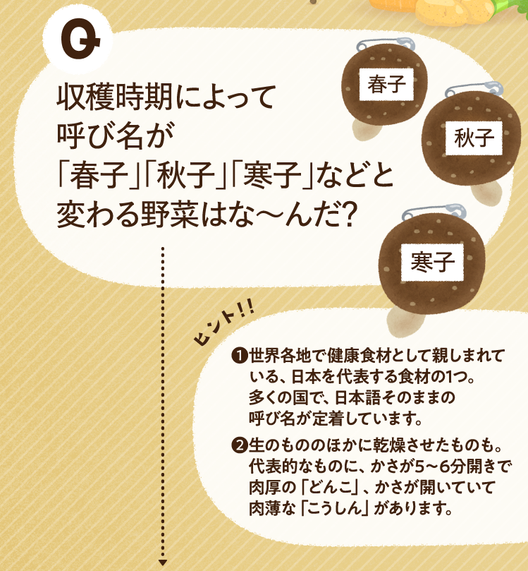 収穫時期によって呼び名が「春子」「秋子」「寒子」などと変わる野菜はな～んだ？ ヒントその1 世界各地で健康食材として親しまれている、日本を代表する食材の1つ。多くの国で、日本語そのままの呼び名が定着しています。 ヒントその2 生のもののほかに乾燥させたものも。代表的なものに、かさが5～6分開きで肉厚の「どんこ」、かさが開いていて肉薄な「こうしん」があります。