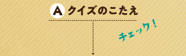 クイズのこたえをチェック！