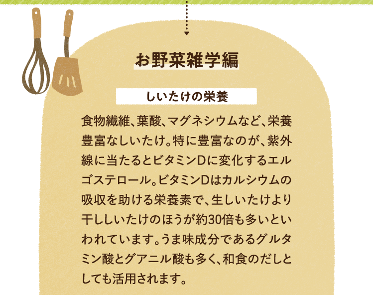 お野菜の雑学を紹介します。 しいたけの栄養について 食物繊維、葉酸、マグネシウムなど、栄養豊富なしいたけ。特に豊富なのが、紫外線に当たるとビタミンDに変化するエルゴステロール。ビタミンDはカルシウムの吸収を助ける栄養素で、生しいたけより干ししいたけのほうが約30倍も多いといわれています。うま味成分であるグルタミン酸とグアニル酸も多く、和食のだしとしても活用されます。