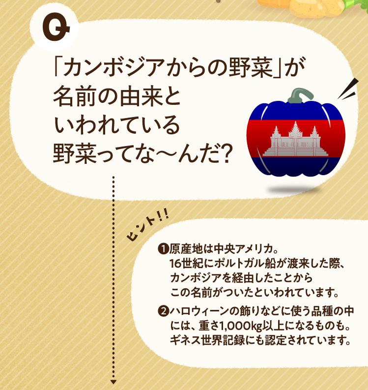 「カンボジアからの野菜」が名前の由来といわれている野菜ってな～んだ？ ヒントその1 原産地は中央アメリカ。16世紀にポルトガル船が渡来した際、カンボジアを経由したことからこの名前がついたといわれています。 ヒントその2 ハロウィーンの飾りなどに使う品種の中には、重さ1,000㎏以上になるものも。ギネス世界記録にも認定されています。