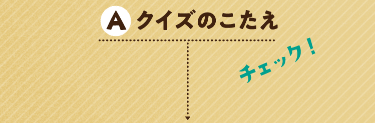 クイズのこたえをチェック！