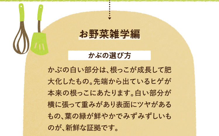 お野菜の雑学を紹介します。 かぶの選び方について かぶの白い部分は、根っこが成長して肥大化したもの。先端から出ているヒゲが本来の根っこにあたります。白い部分が横に張って重みがあり表面にツヤがあるもの、葉の緑が鮮やかでみずみずしいものが、新鮮な証拠です。