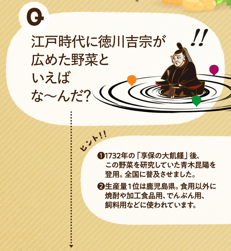 江戸時代に徳川吉宗が広めた野菜といえばな～んだ？ ヒントその1 1732年の「享保の大飢饉」後、この野菜を研究していた青木昆陽を登用。全国に普及させました。 ヒントその2 生産量１位は鹿児島県。食用以外に焼酎や加工食品用、でんぷん用、飼料用などに使われています。