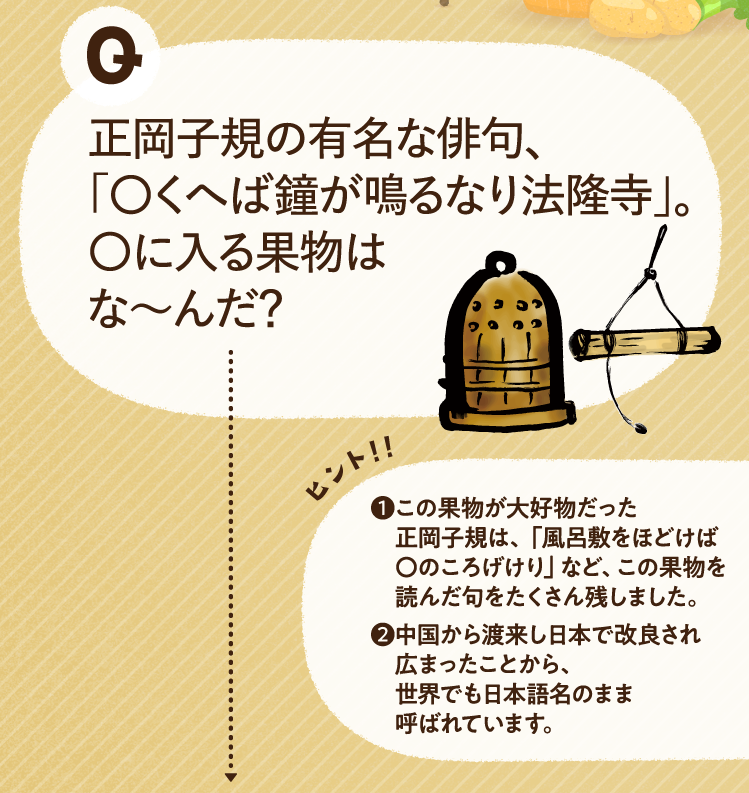 正岡子規の有名な俳句、「〇くへば鐘が鳴るなり法隆寺」。〇に入る果物はな～んだ？ ヒントその1 この果物が大好物だった正岡子規は、「風呂敷をほどけば〇のころげけり」など、この果物を読んだ句をたくさん残しました。 ヒントその2 中国から渡来し日本で改良され広まったことから、世界でも日本語名のまま呼ばれています。