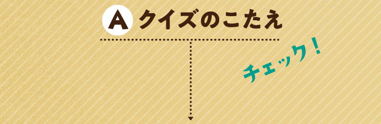 クイズのこたえをチェック！