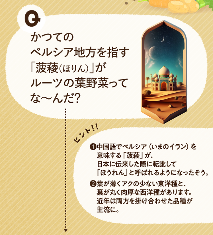 かつてのペルシア地方を指す「菠薐（ほりん）」がルーツの葉野菜ってな～んだ？ ヒントその1 中国語でペルシア（いまのイラン）を意味する「菠薐」が、日本に伝来した際に転訛して「ほうれん」と呼ばれるようになったそう。 ヒントその2 葉が薄くアクの少ない東洋種と、葉が丸く肉厚な西洋種があります。近年は両方を掛け合わせた品種が主流に。