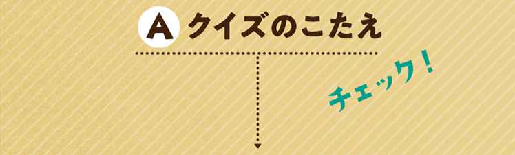 クイズのこたえをチェック！