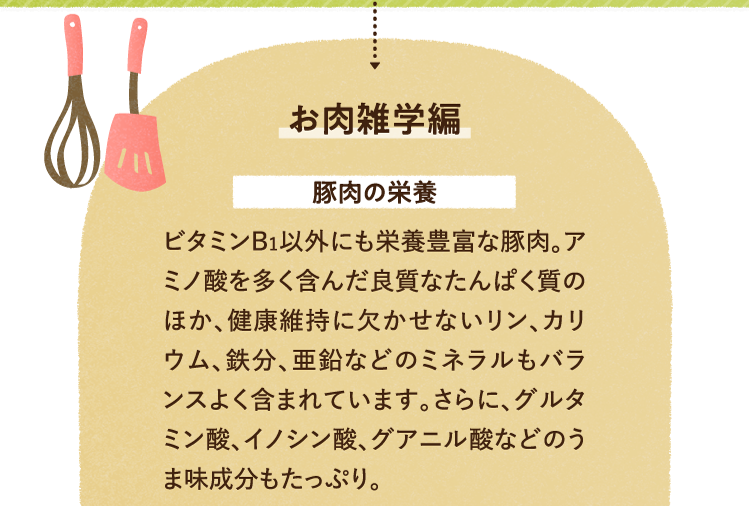 お肉の雑学を紹介します。 豚肉の栄養について ビタミンB1以外にも栄養豊富な豚肉。アミノ酸を多く含んだ良質なたんぱく質のほか、健康維持に欠かせないリン、カリウム、鉄分、亜鉛などのミネラルもバランスよく含まれています。さらに、グルタミン酸、イノシン酸、グアニル酸などのうま味成分もたっぷり。