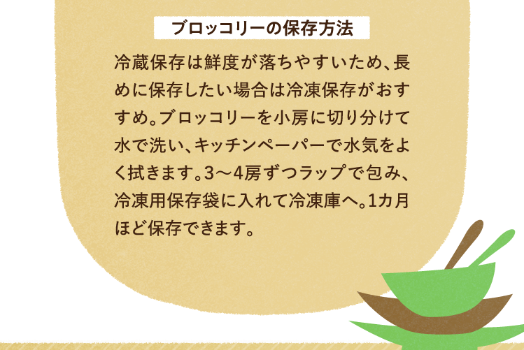 ブロッコリーの保存方法 冷蔵保存は鮮度が落ちやすいため、長めに保存したい場合は冷凍保存がおすすめ。ブロッコリーを小房に切り分けて水で洗い、キッチンペーパーで水気をよく拭きます。３～４房ずつラップで包み、冷凍用保存袋に入れて冷凍庫へ。1カ月ほど保存できます。