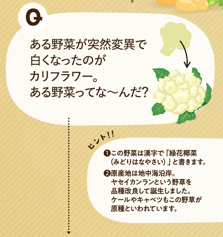 ある野菜が突然変異で白くなったのがカリフラワー。ある野菜ってな～んだ？ ヒントその1 この野菜は漢字で「緑花椰菜（みどりはなやさい）」と書きます。 ヒントその2 原産地は地中海沿岸。ヤセイカンランという野草を品種改良して誕生しました。ケールやキャベツもこの野草が原種といわれています。