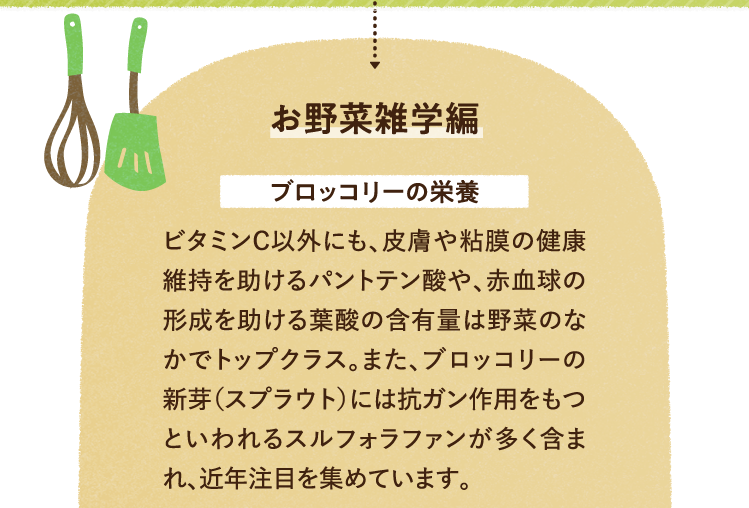 お野菜の雑学を紹介します。 ブロッコリーの栄養について ビタミンC以外にも、皮膚や粘膜の健康維持を助けるパントテン酸や、赤血球の形成を助ける葉酸の含有量は野菜のなかでトップクラス。また、ブロッコリーの新芽（スプラウト）には抗ガン作用をもつといわれるスルフォラファンが多く含まれ、近年注目を集めています。