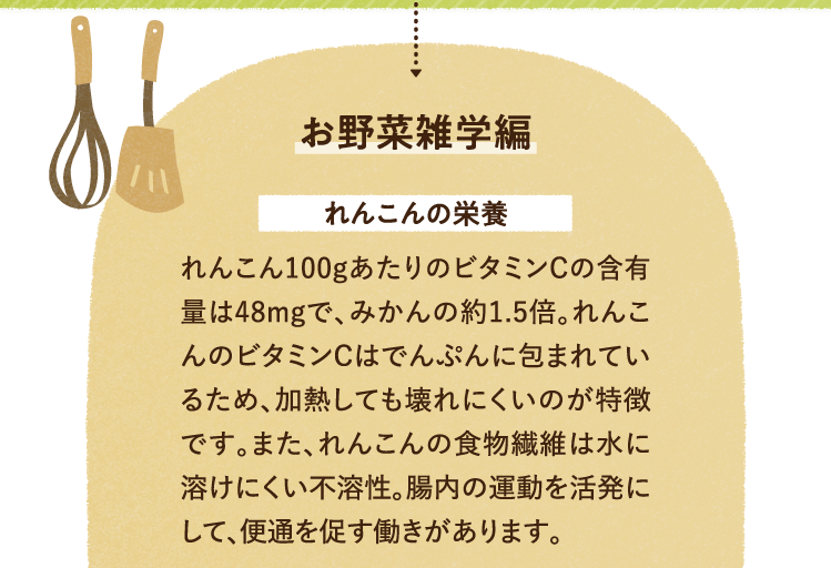 お野菜の雑学を紹介します。 れんこんの栄養について れんこん100gあたりのビタミンCの含有量は48mgで、みかんの約1.5倍。れんこんのビタミンCはでんぷんに包まれているため、加熱しても壊れにくいのが特徴です。また、れんこんの食物繊維は水に溶けにくい不溶性。腸内の運動を活発にして、便通を促す働きがあります。