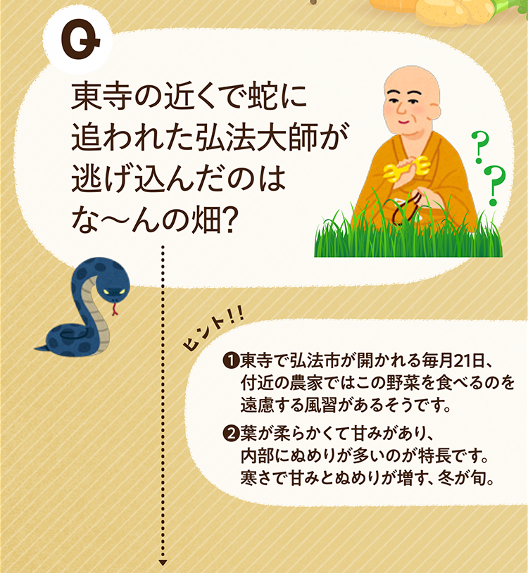 東寺の近くで蛇に追われた弘法大師が逃げ込んだのはな～んの畑？ ヒントその1 東寺で弘法市が開かれる毎月21日、付近の農家ではこの野菜を食べるのを遠慮する風習があるそうです。 ヒントその2 葉が柔らかくて甘みがあり、内部にぬめりが多いのが特長です。寒さで甘みとぬめりが増す、冬が旬。