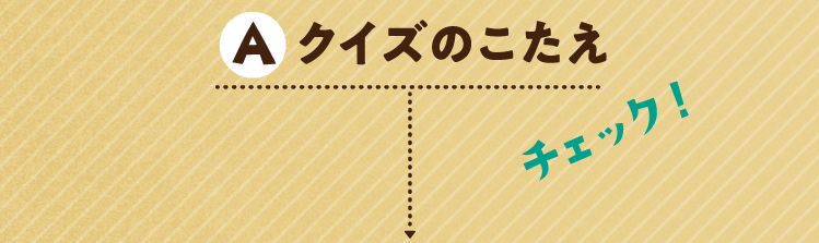クイズのこたえをチェック！