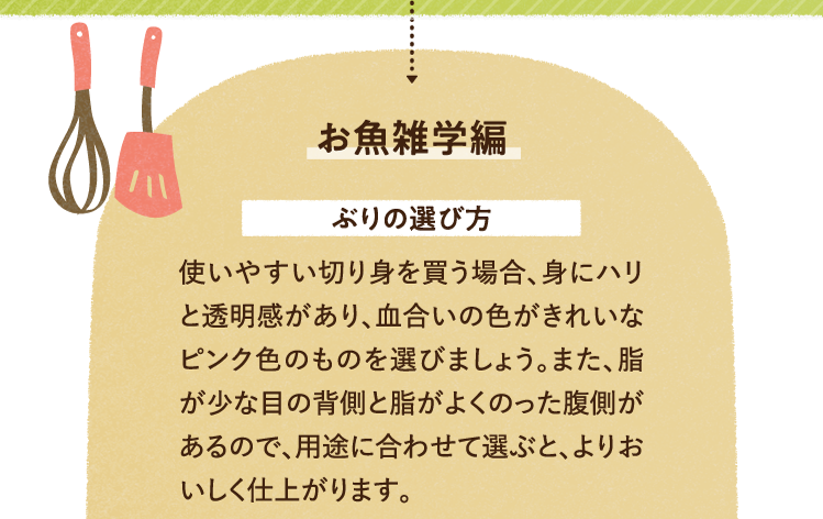 お魚の雑学を紹介します。 ぶりの選び方について 使いやすい切り身を買う場合、身にハリと透明感があり、血合いの色がきれいなピンク色のものを選びましょう。また、脂が少な目の背側と脂がよくのった腹側があるので、用途に合わせて選ぶと、よりおいしく仕上がります。