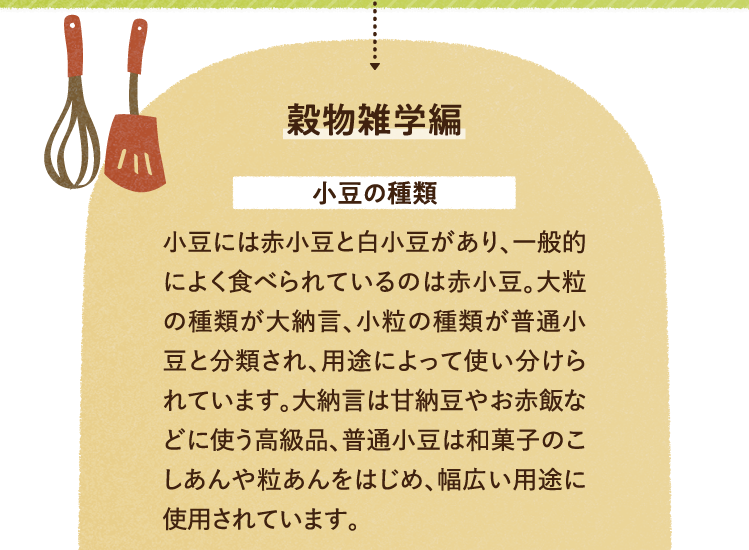 穀物の雑学を紹介します。 小豆の種類について 小豆には赤小豆と白小豆があり、一般的によく食べられているのは赤小豆。大粒の種類が大納言、小粒の種類が普通小豆と分類され、用途によって使い分けられています。大納言は甘納豆やお赤飯などに使う高級品、普通小豆は和菓子のこしあんや粒あんをはじめ、幅広い用途に使用されています。