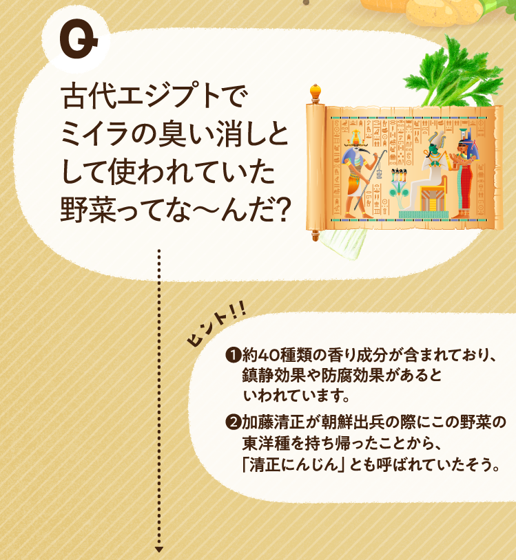 古代エジプトでミイラの臭い消しとして使われていた野菜ってな～んだ？ ヒントその1 約40種類の香り成分が含まれており、鎮静効果や防腐効果があるといわれています。 ヒントその2 加藤清正が朝鮮出兵の際にこの野菜の東洋種を持ち帰ったことから、「清正にんじん」とも呼ばれていたそう。