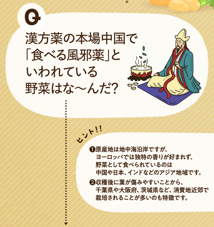 漢方薬の本場中国で「食べる風邪薬」といわれている野菜はな～んだ？ ヒントその1 原産地は地中海沿岸ですが、ヨーロッパでは独特の香りが好まれず、野菜として食べられているのは中国や日本、インドなどのアジア地域です。 ヒントその2 収穫後に葉が傷みやすいことから、千葉県や大阪府、茨城県など、消費地近郊で栽培されることが多いのも特徴です。