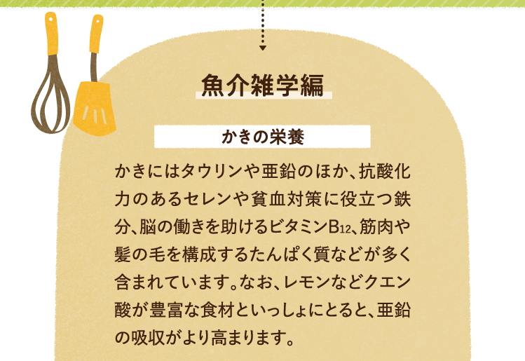 魚介雑学を紹介します。 かきの栄養について かきにはタウリンや亜鉛のほか、抗酸化力のあるセレンや貧血対策に役立つ鉄分、脳の働きを助けるビタミンB12、筋肉や髪の毛を構成するたんぱく質などが多く含まれています。なお、レモンなどクエン酸が豊富な食材といっしょにとると、亜鉛の吸収がより高まります。