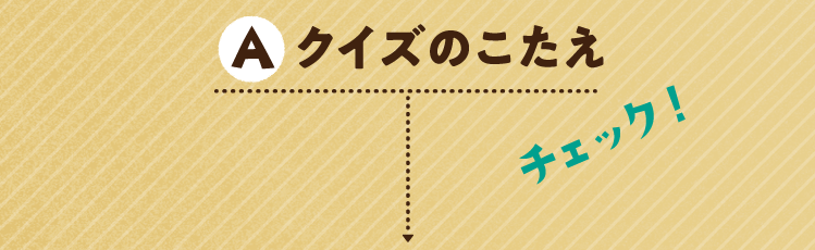 クイズのこたえをチェック！
