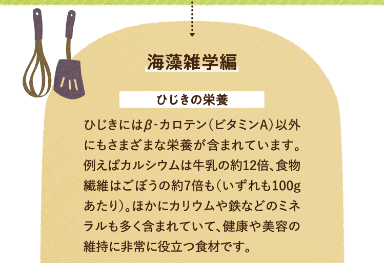 海藻雑学を紹介します。 ひじきの栄養について ひじきにはβ‐カロテン（ビタミンA）以外にもさまざまな栄養が含まれています。例えばカルシウムは牛乳の約12倍、食物繊維はごぼうの約7倍も（いずれも100gあたり）。ほかにカリウムや鉄などのミネラルも多く含まれていて、健康や美容の維持に非常に役立つ食材です。