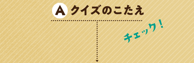 クイズのこたえをチェック！