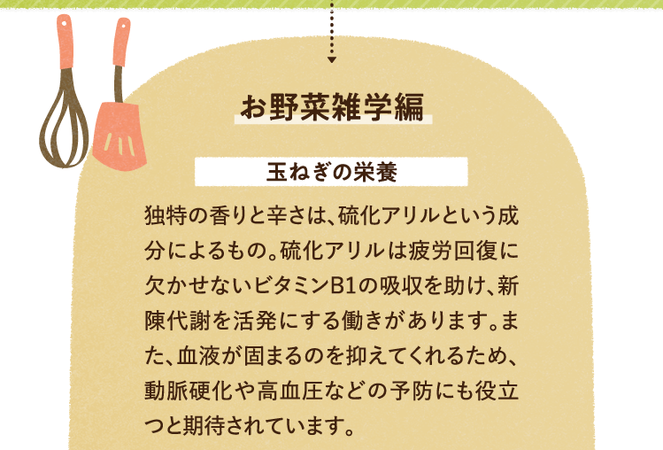 お野菜雑学を紹介します。 玉ねぎの栄養について 独特の香りと辛さは、硫化アリルという成分によるもの。硫化アリルは疲労回復に欠かせないビタミンB1の吸収を助け、新陳代謝を活発にする働きがあります。また、血液が固まるのを抑えてくれるため、動脈硬化や高血圧などの予防にも役立つと期待されています。
