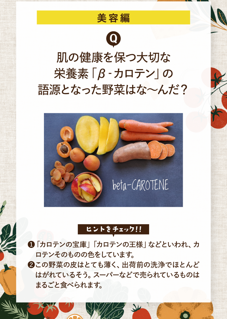 美容編 肌の健康を保つ大切な栄養素「β‐カロテン」の語源となった野菜はな～んだ？ ❶「カロテンの宝庫」「カロテンの王様」などといわれ、カロテンそのものの色をしています。❷この野菜の皮はとても薄く、出荷前の洗浄でほとんどはがれているそう。スーパーなどで売られているものはまるごと食べられます。