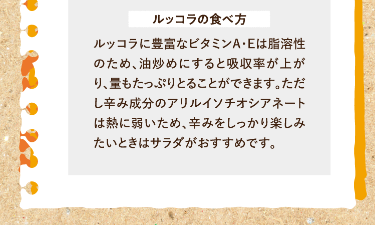 ルッコラの食べ方 ルッコラに豊富なビタミンA・Eは脂溶性のため、油炒めにすると吸収率が上がり、量もたっぷりとることができます。ただし辛み成分のアリルイソチオシアネートは熱に弱いため、辛みをしっかり楽しみたいときはサラダがおすすめです。