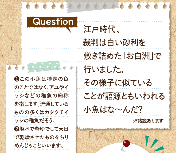 江戸時代、裁判は白い砂利を敷き詰めた「お白洲」で行いました。その様子に似ていることが語源ともいわれる小魚はな～んだ？