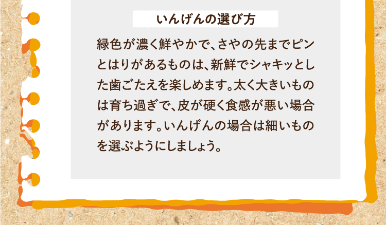 いんげんの選び方 緑色が濃く鮮やかで、さやの先までピンとはりがあるものは、新鮮でシャキッとした歯ごたえを楽しめます。太く大きいものは育ち過ぎで、皮が硬く食感が悪い場合があります。いんげんの場合は細いものを選ぶようにしましょう。