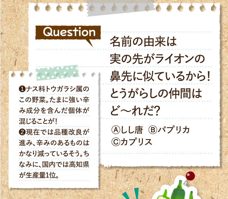 名前の由来は実の先がライオンの鼻先に似ているから！ とうがらしの仲間はど～れだ？ Ⓐしし唐 Ⓑパプリカ Ⓒカプリス ❶ナス科トウガラシ属のこの野菜。たまに強い辛み成分を含んだ個体が混じることが！ ❷現在では品種改良が進み、辛みのあるものはかなり減っているそう。ちなみに、国内では高知県が生産量1位。