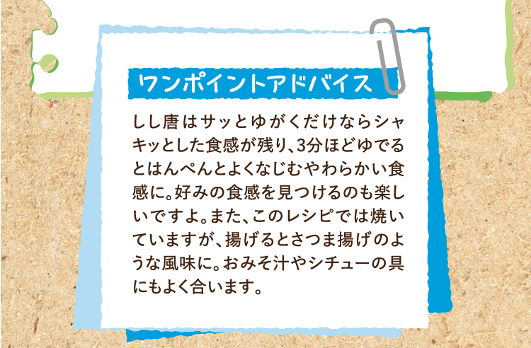 ワンポイントアドバイス しし唐はサッとゆがくだけならシャキッとした食感が残り、3分ほどゆでるとはんぺんとよくなじむやわらかい食感に。好みの食感を見つけるのも楽しいですよ。また、このレシピでは焼いていますが、揚げるとさつま揚げのような風味に。おみそ汁やシチューの具にもよく合います。