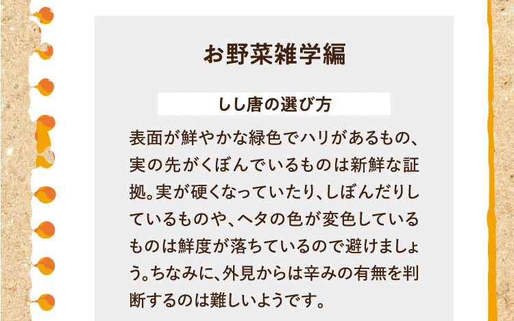 お野菜雑学編を紹介します。 しし唐の選び方 表面が鮮やかな緑色でハリがあるもの、実の先がくぼんでいるものは新鮮な証拠。実が硬くなっていたり、しぼんだりしているものや、ヘタの色が変色しているものは鮮度が落ちているので避けましょう。ちなみに、外見からは辛みの有無を判断するのは難しいようです。