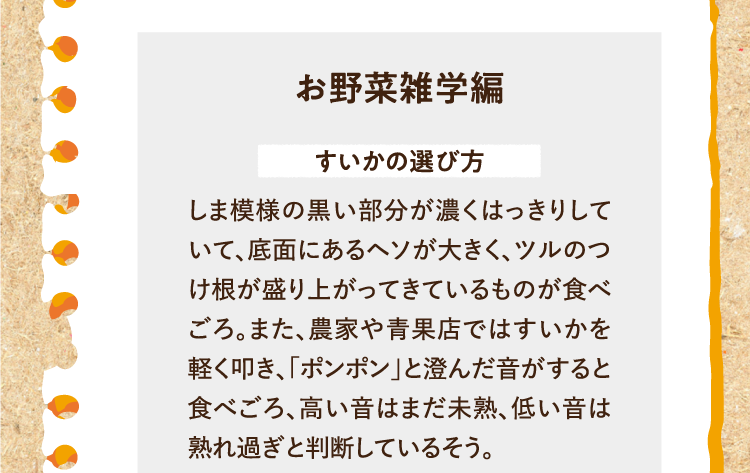 お野菜雑学編を紹介します。 すいかの選び方 しま模様の黒い部分が濃くはっきりしていて、底面にあるヘソが大きく、ツルのつけ根が盛り上がってきているものが食べごろ。また、農家や青果店ではすいかを軽く叩き、「ポンポン」と澄んだ音がすると食べごろ、高い音はまだ未熟、低い音は熟れ過ぎと判断しているそう。