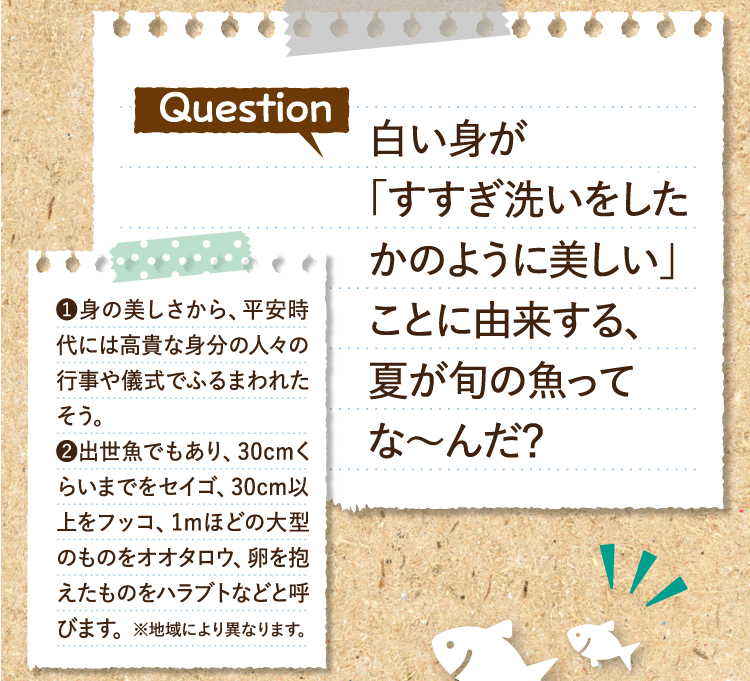 白い身が「すすぎ洗いをしたかのように美しい」ことに由来する、夏が旬の魚ってな～んだ？ ❶身の美しさから、平安時代には高貴な身分の人々の行事や儀式でふるまわれたそう。 ❷出世魚でもあり、30cmくらいまでをセイゴ、30cm以上をフッコ、1mほどの大型のものをオオタロウ、卵を抱えたものをハラブトなどと呼びます。※地域により異なります。