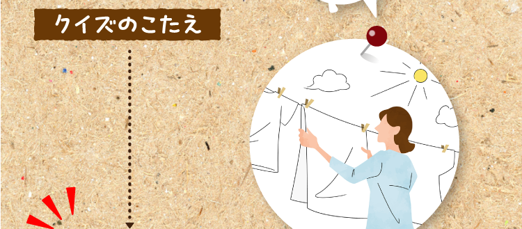 クイズのこたえをチェック！