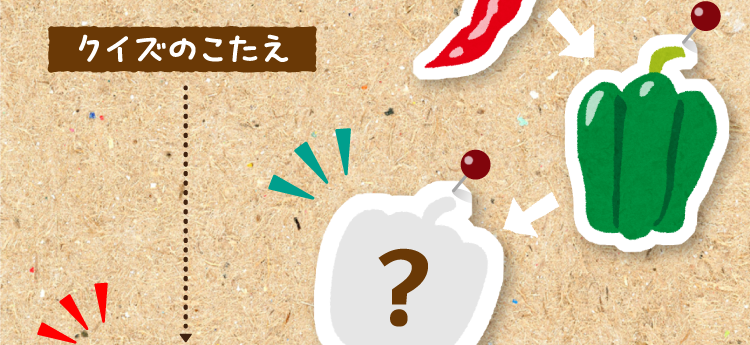 クイズのこたえをチェック！