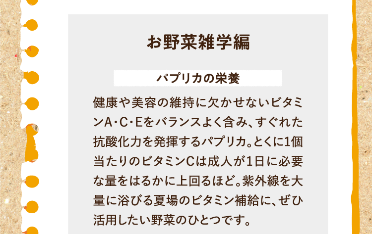 お野菜雑学編を紹介します。 パプリカの栄養 健康や美容の維持に欠かせないビタミンA・C・Eをバランスよく含み、すぐれた抗酸化力を発揮するパプリカ。とくに1個当たりのビタミンCは成人が1日に必要な量をはるかに上回るほど。紫外線を大量に浴びる夏場のビタミン補給に、ぜひ活用したい野菜のひとつです。