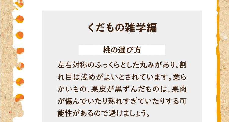 くだもの雑学編を紹介します。 桃の選び方 左右対称のふっくらとした丸みがあり、割れ目は浅めがよいとされています。柔らかいもの、果皮が黒ずんだものは、果肉が傷んでいたり熟れすぎていたりする可能性があるので避けましょう。