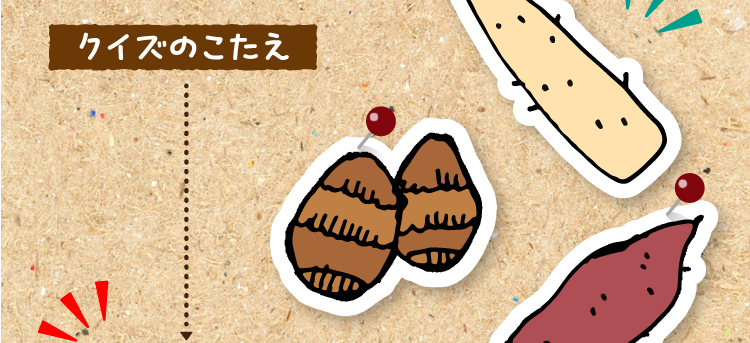 クイズのこたえをチェック！