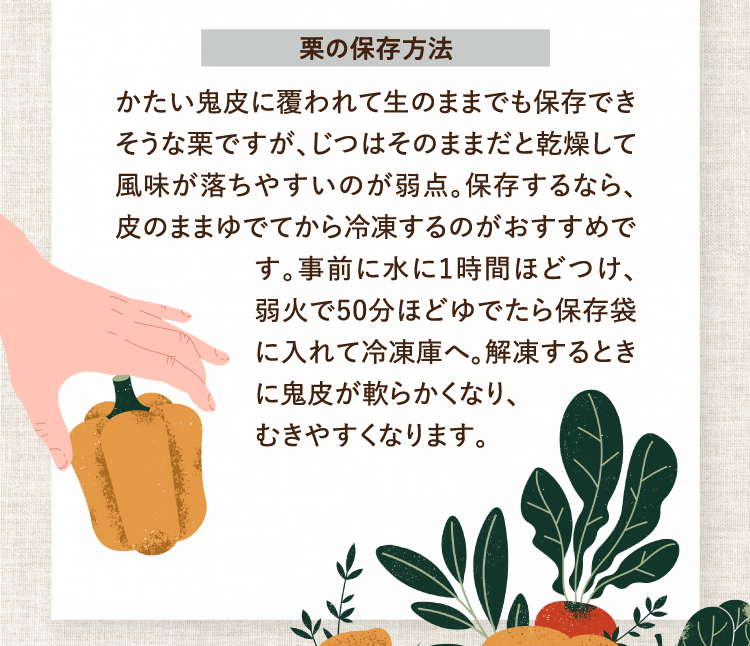 栗の保存方法 かたい鬼皮に覆われて生のままでも保存できそうな栗ですが、じつはそのままだと乾燥して風味が落ちやすいのが弱点。保存するなら、皮のままゆでてから冷凍するのがおすすめです。事前に水に1時間ほどつけ、弱火で50分ほどゆでたら保存袋に入れて冷凍庫へ。解凍するときに鬼皮が軟らかくなり、むきやすくなります。