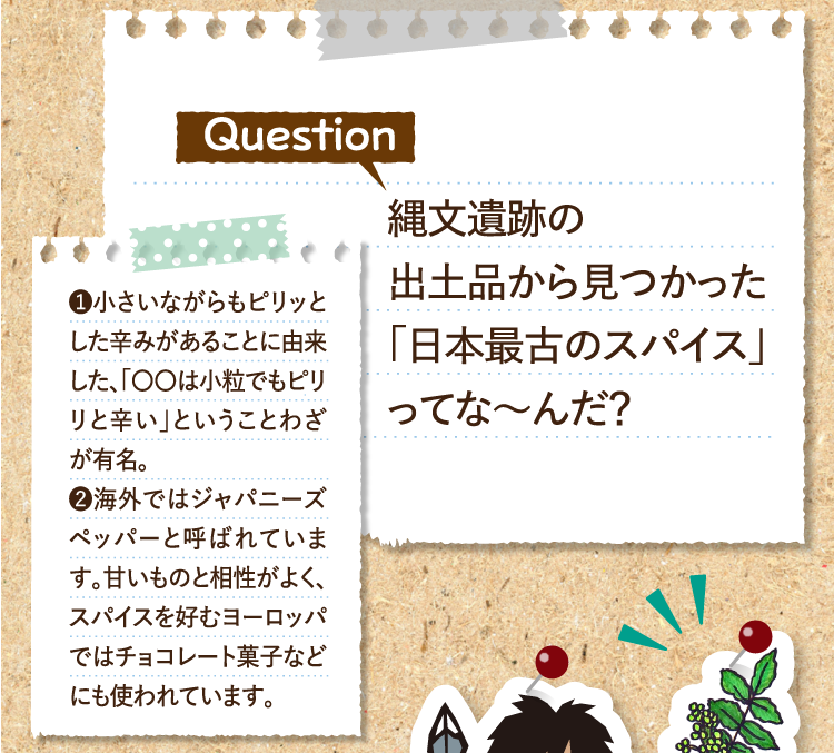 縄文遺跡の出土品から見つかった「日本最古のスパイス」ってな～んだ？ ❶小さいながらもピリッとした辛みがあることに由来した、「〇〇は小粒でもピリリと辛い」ということわざが有名。 ❷海外ではジャパニーズペッパーと呼ばれています。甘いものと相性がよく、スパイスを好むヨーロッパではチョコレート菓子などにも使われています。