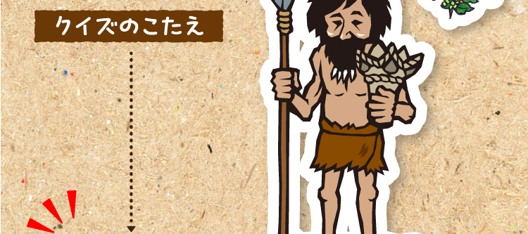 クイズのこたえをチェック！