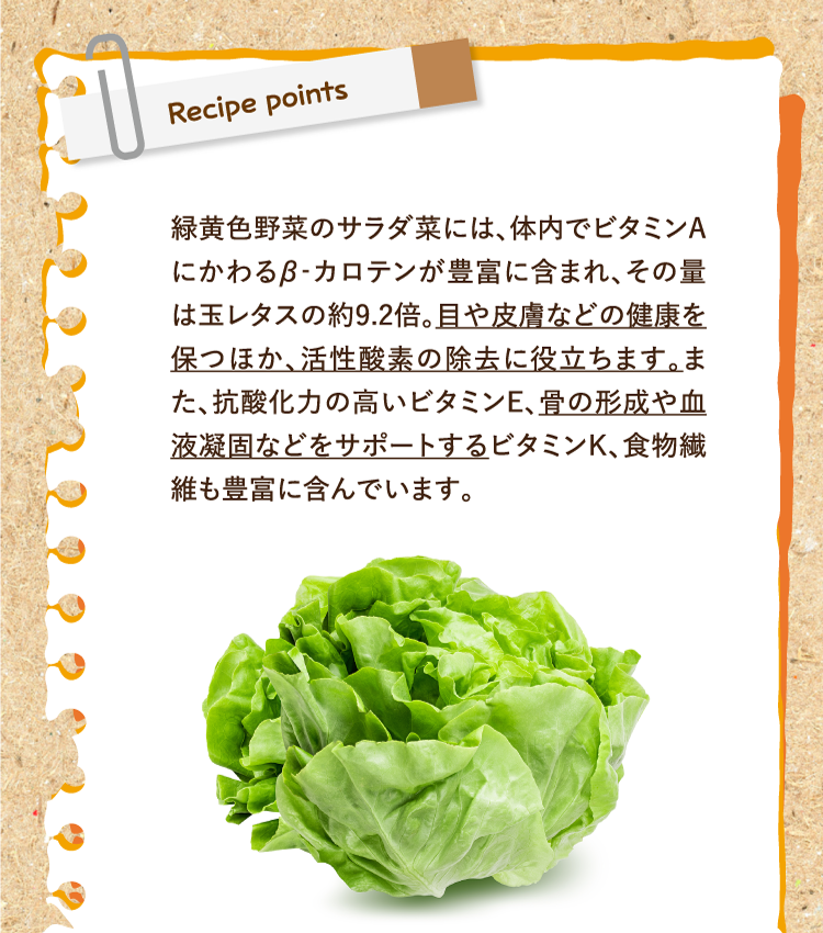 レシピポイント 緑黄色野菜のサラダ菜には、体内でビタミンAにかわるβ‐カロテンが豊富に含まれ、その量は玉レタスの約9.2倍。目や皮膚などの健康を保つほか、活性酸素の除去に役立ちます。また、抗酸化力の高いビタミンE、骨の形成や血液凝固などをサポートするビタミンK、食物繊維も豊富に含んでいます。