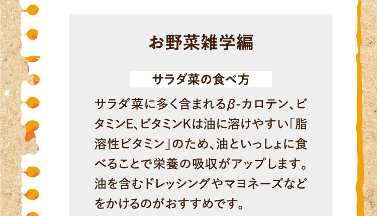 お野菜雑学編を紹介します。 サラダ菜の食べ方 サラダ菜に多く含まれるβ-カロテン、ビタミンE、ビタミンKは油に溶けやすい「脂溶性ビタミン」のため、油といっしょに食べることで栄養の吸収がアップします。油を含むドレッシングやマヨネーズなどをかけるのがおすすめです。