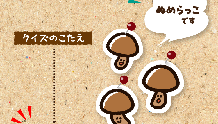 クイズのこたえをチェック！